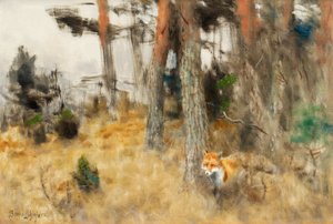 Raven in Forest Scene